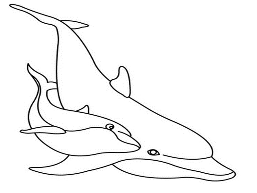 Plansa de colorat cu Delfin 5 25